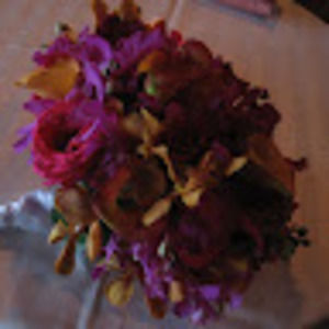 Meet your Posher, Sophia